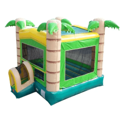 Combo202 1745779729 Tropical Bounce