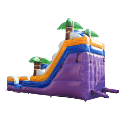 Angle203 1769381207 15' Purple Tropical Water Slide